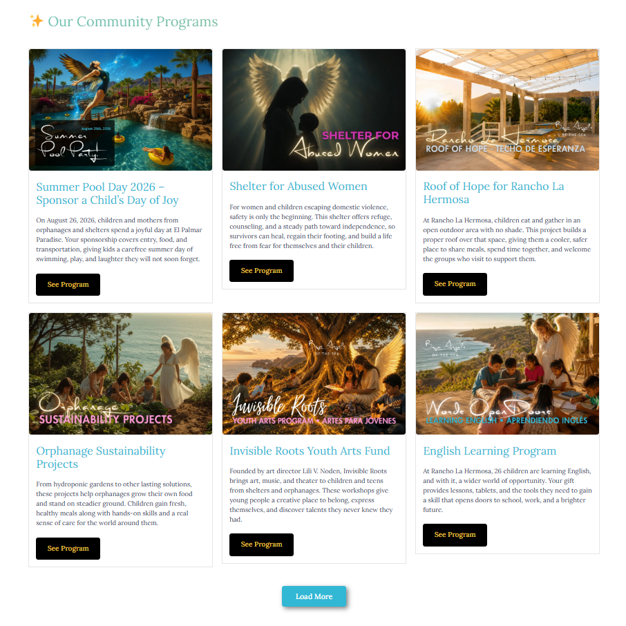 Six community program cards on the Baja Angels website: Summer Pool Day, Shelter for Abused Women, Roof of Hope, Orphanage Sustainability, Invisible Roots Youth Arts Fund, and English Learning Program