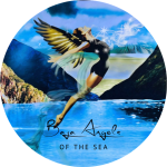 Baja Angels of the Sea logo